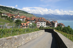 Rivaz