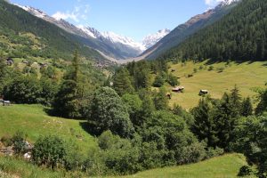 vue de la zone d'éboulement depuis l'entrée du Lötschental
