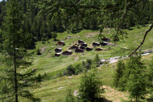 Tellialp