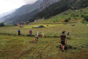 les foins près du Golzernsee