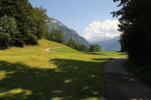 sur la Voie Suisse (Weg der Schweiz)