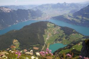 vue depuis le sommet du Niderbauen Chulm (le Seeli et le lac des 4 Cantons)