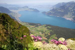 vue depuis le sommet du Niderbauen Chulm