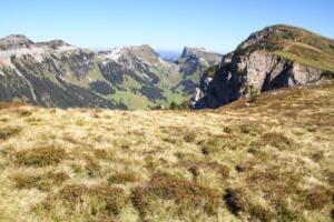 Burgfeldstand