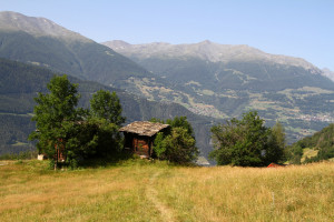 Niwärch
