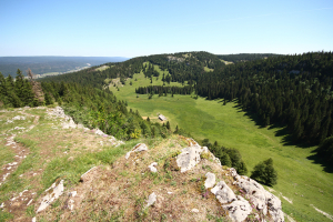 le Creux du Croue depuis le sommet du Noirmont-des-Français