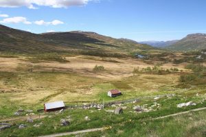 au bord de la 7 près d'Hardangervidda