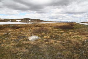 au bord de la route n°7