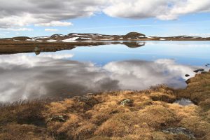 au bord de la route n°7, Skiftessjøen