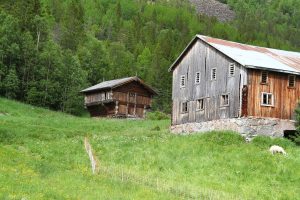 sur la route n°40 dans la vallée de Numedal (près d'Udval)