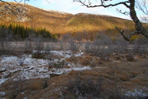 Langvatnet (au bord de la Fv17)