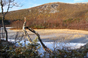 Langvatnet (au bord de la Fv17)