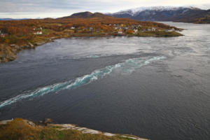 Saltstraumen (au plus fort de la marée montante)
