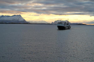 sur le ferry pour Moskenes