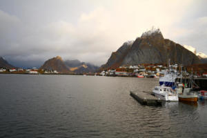 Reine