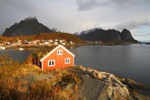 Reine