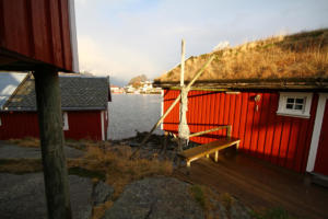 Reine