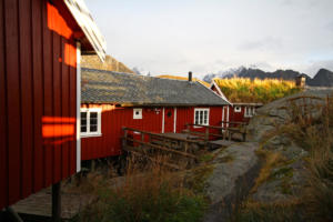 Reine