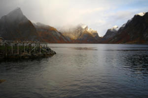 Sakrisøy
