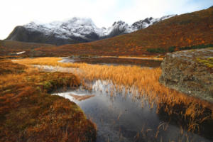 sur la route de Nusfjord