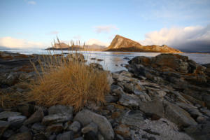 Napp : plage de Storsandnes