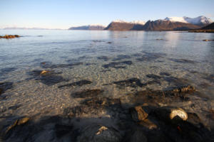plage sur Gimsøysa
