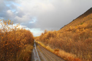 route pourrie ...