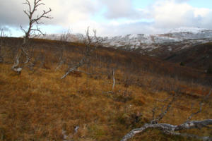 en montant de Nonstinden
