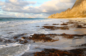 plage de Bleik