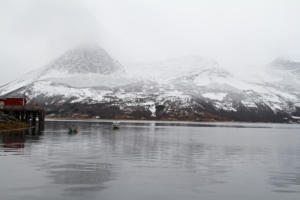 au fond du Nordfolda près de Mørsvikbotn