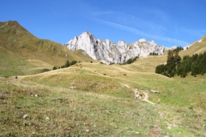 les Pointes de Pavis 