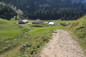 Chalets de Bise