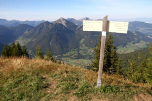 Tête de Fieux