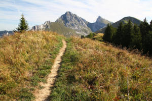 La Dent d'Oche et, derrière les arbres, la pointe de Pelluaz