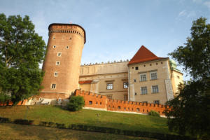 Cracovie : château Wawel