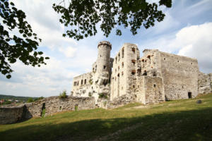 Podzamcze :  Château d'Ogrodzieniec