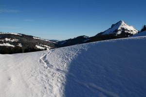 Teysachaux