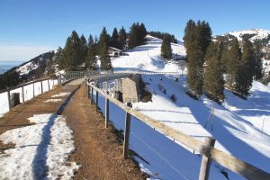 A Rigi Unterstetten 