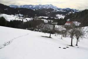 Rüti
