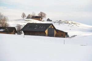 entre Jakobsbad et Gontenbad