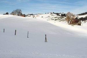 entre Jakobsbad et Gontenbad