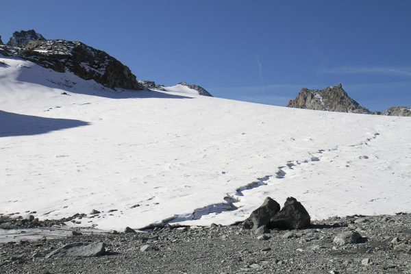 Rosablanche au fond presque au milieu
