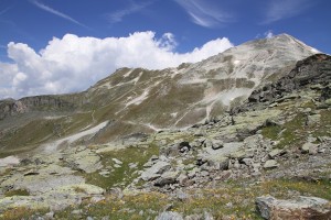 le chemin de montée