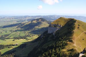 Kamor Trestenkopf