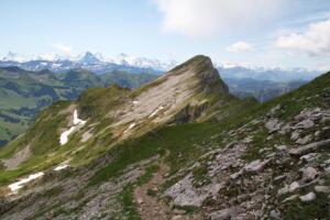 le Schibegütsch