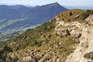 Le Bergsturz du Gnipen