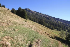 Le Gnipen