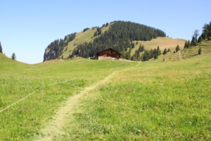 alpage de Ritz