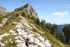 Sigriswil Rothorn