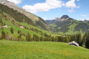 vue sur les Gastlosen